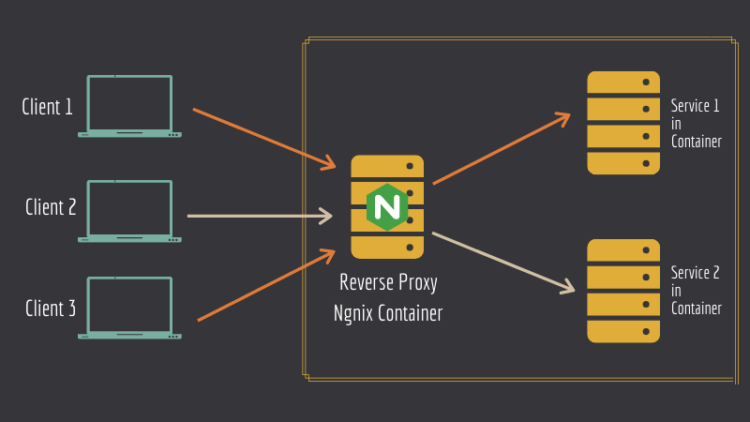 How to setup nginx reverse proxy for aspnet core apps with and without  Docker compose